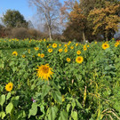 IMG_5987.jpeg