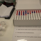 paulitsch004244.JPG