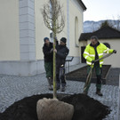 Pflanzaktion in Dornbirn