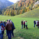 Konzert Tantermauses-Alphon Consort _18_.jpg