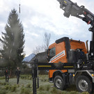 Weihnachtsbaum am Marktplatz aufgestellt