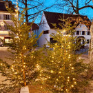einschaltfeier _6_.jpg
