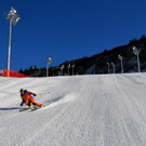 foto-lerch-241120001-39.jpg