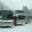 732137.jpg
