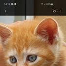 Screenshot_20200903-141822_Gallery.jpg