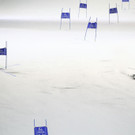 Austria_Alpine_Skiing_World_Cup_42182.jpg