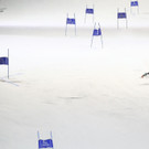 Austria_Alpine_Skiing_World_Cup_27790.jpg