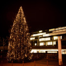 Weihnachtsbam Landhaus-8.jpg