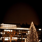 Weihnachtsbam Landhaus-5.jpg