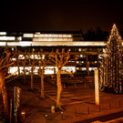 Weihnachtsbam Landhaus-3.jpg