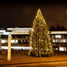 Weihnachtsbam Landhaus-2.jpg