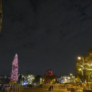 ABD0175-20201128.jpg