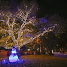 ABD0172-20201128.jpg