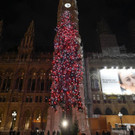 ABD0166-20201128.jpg