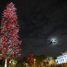 ABD0167-20201128.jpg