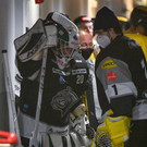 Debüt bei Dornbirn Bulldogs
