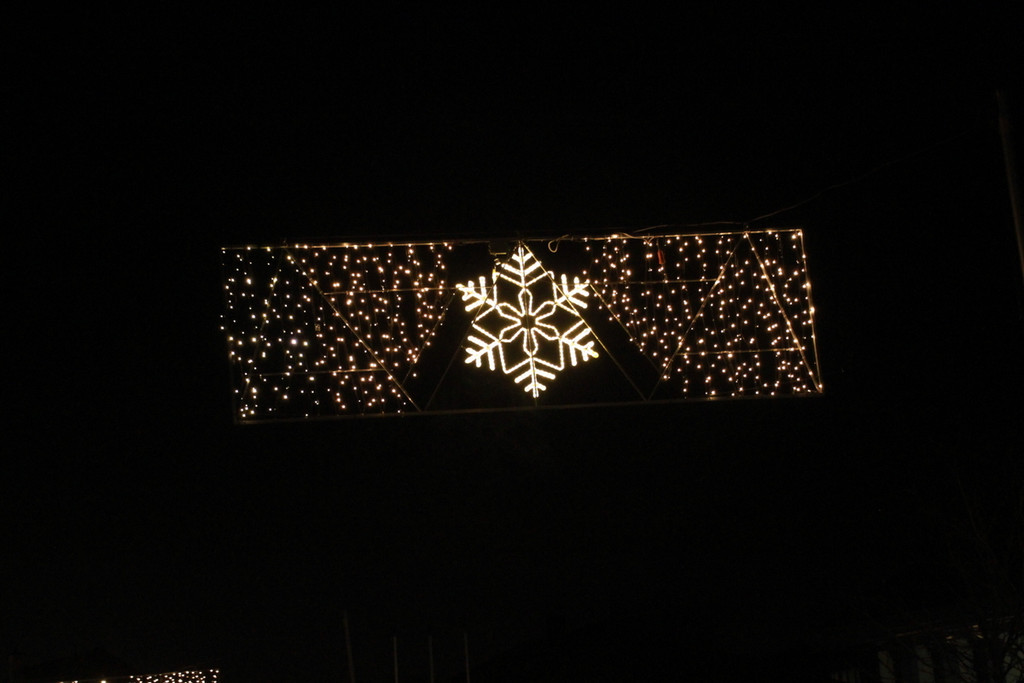 Tannenbaum _1_.JPG