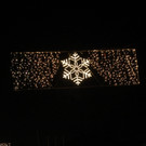 Tannenbaum _1_.JPG