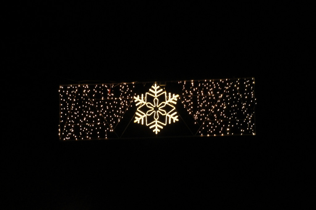 Tannenbaum _2_.JPG