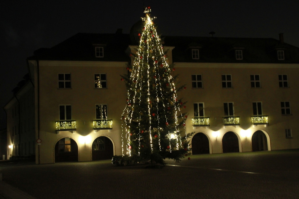 Tannenbaum _3_.JPG