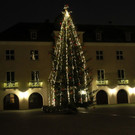 Tannenbaum _3_.JPG