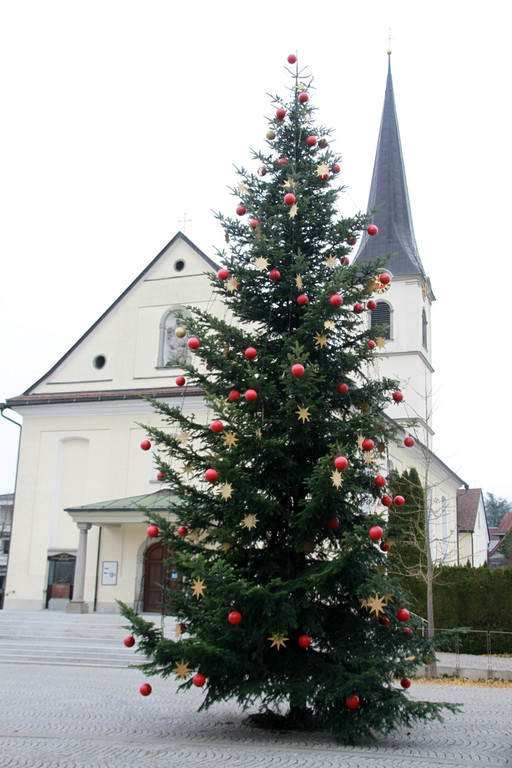 Tannenbaum _4_.JPG