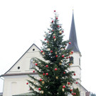 Tannenbaum _4_.JPG