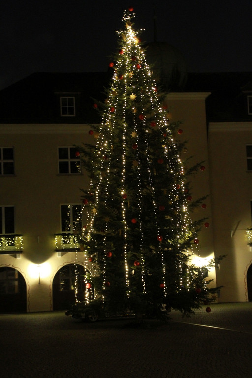 Tannenbaum _5_.JPG