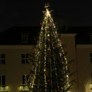 Tannenbaum _5_.JPG