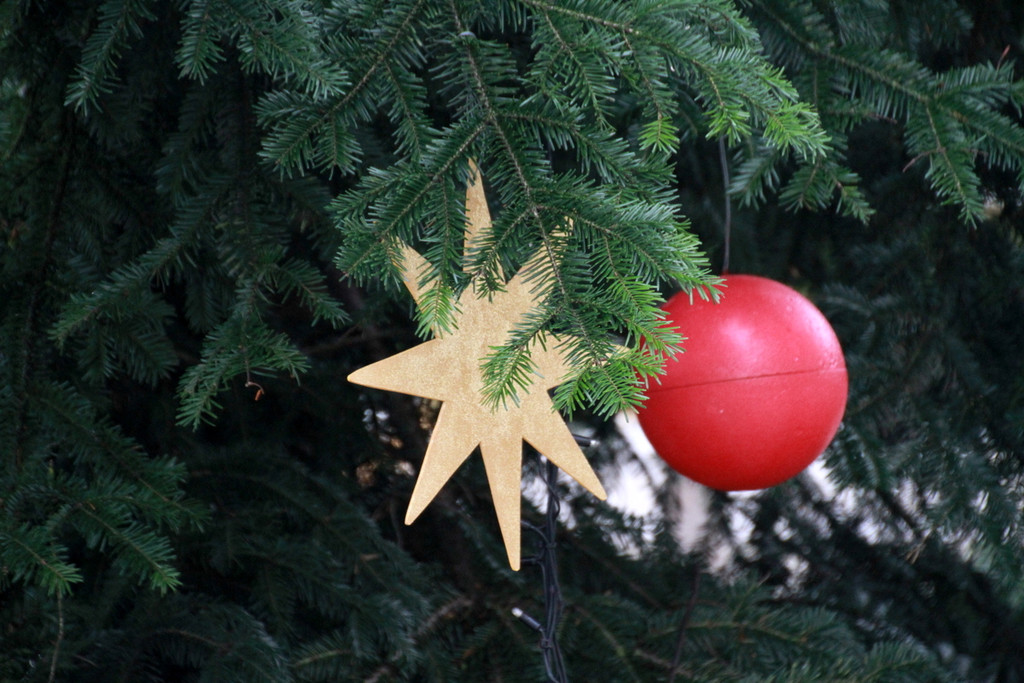Tannenbaum _6_.JPG