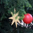 Tannenbaum _6_.JPG
