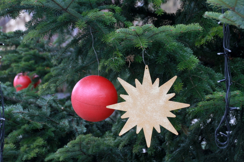Tannenbaum _7_.JPG