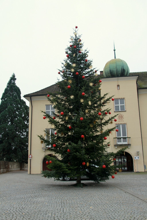 Tannenbaum _8_.JPG