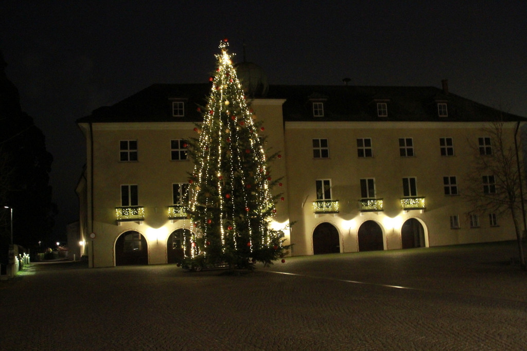 Tannenbaum _9_.JPG