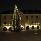 Tannenbaum _9_.JPG