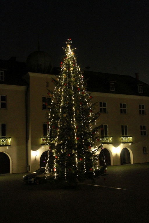 Tannenbaum _10_.JPG