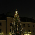 Tannenbaum _10_.JPG