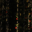 Tannenbaum _12_.JPG