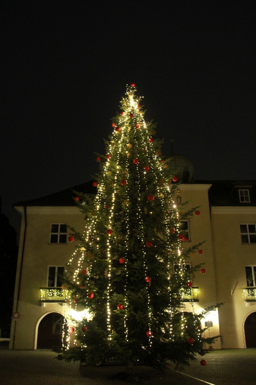 Tannenbaum _14_.JPG