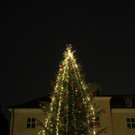 Tannenbaum _14_.JPG
