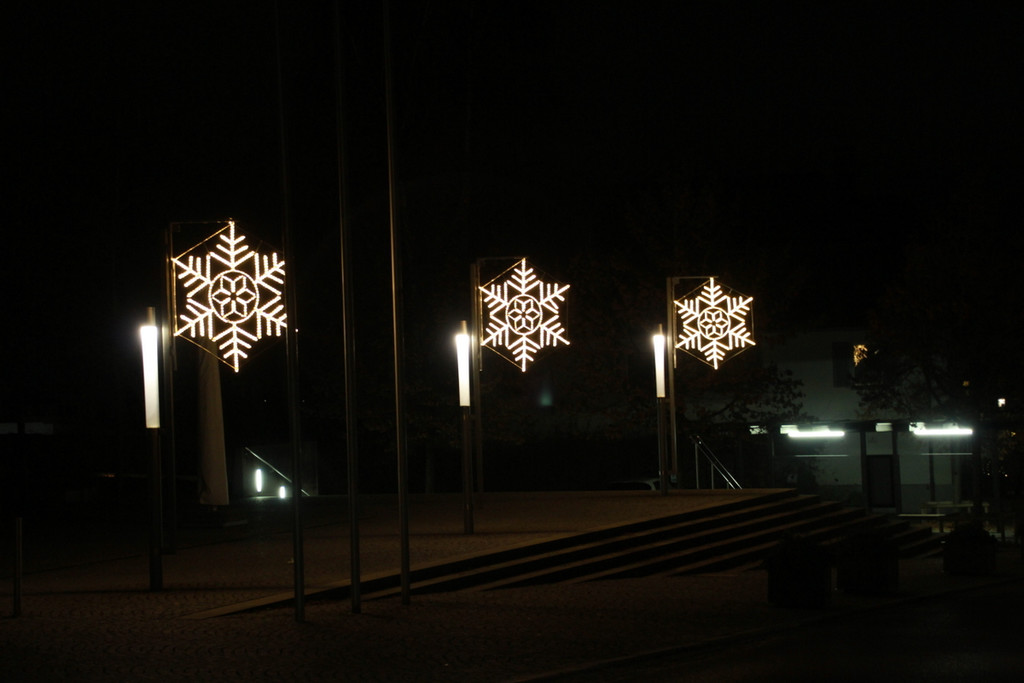 Tannenbaum _15_.JPG