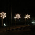 Tannenbaum _15_.JPG