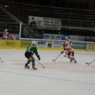 DSC08119.JPG