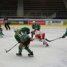 DSC08144.JPG