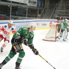 DSC08146.JPG