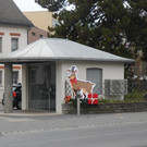 DSCI5439.JPG