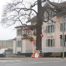 DSCI5443.JPG