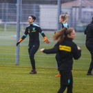 file7dcsc6pjeqvwegka5kv.jpg
