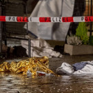 Germany_Car_Crash_55994.jpg