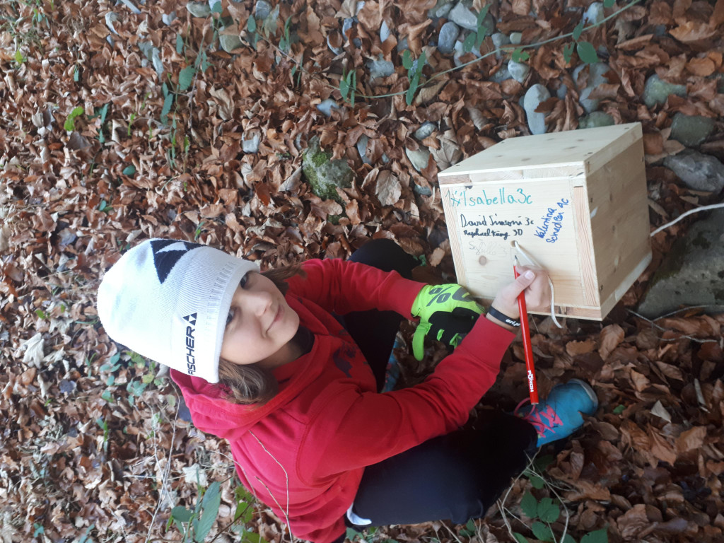 W__rfel Challenge 1.jpg